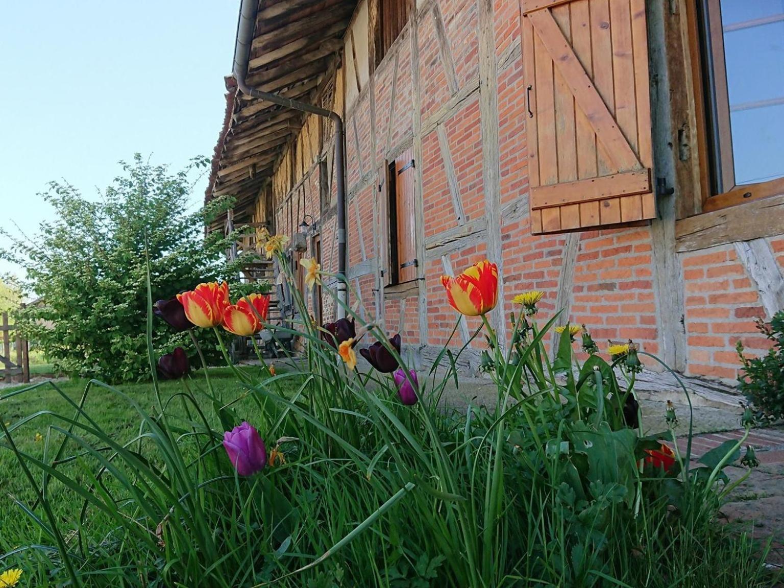 A La Poularde B&B Curciat-Dongalon Exterior foto