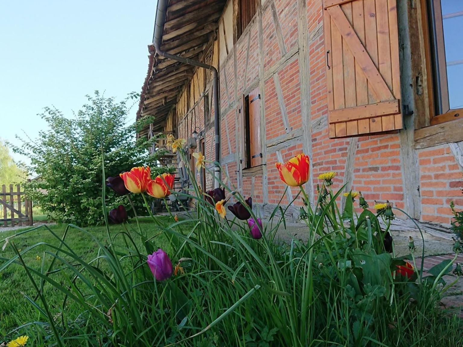 A La Poularde B&B Curciat-Dongalon Quarto foto