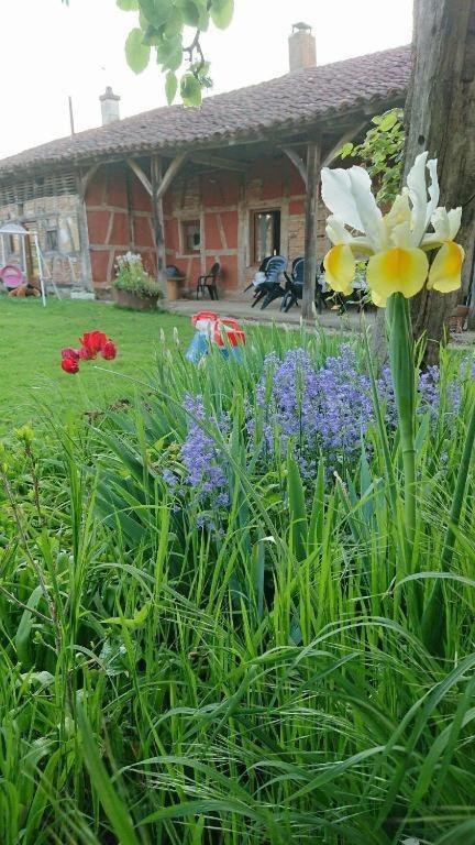 A La Poularde B&B Curciat-Dongalon Quarto foto