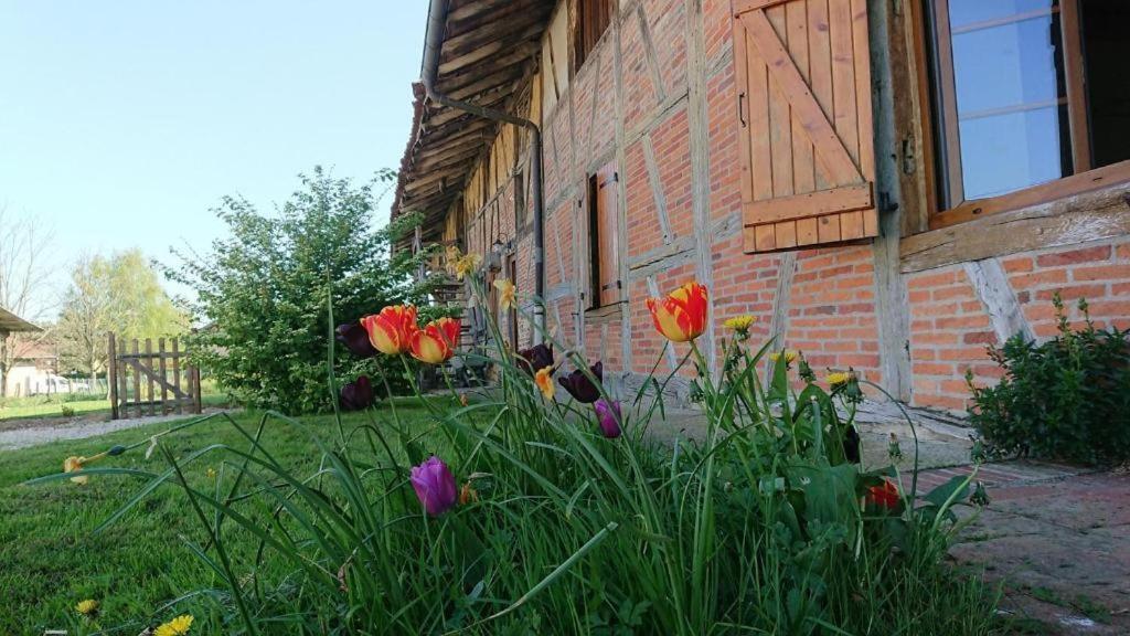 A La Poularde B&B Curciat-Dongalon Quarto foto